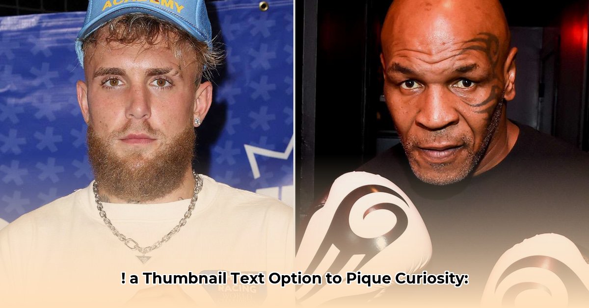 mike-reiss-net-worth